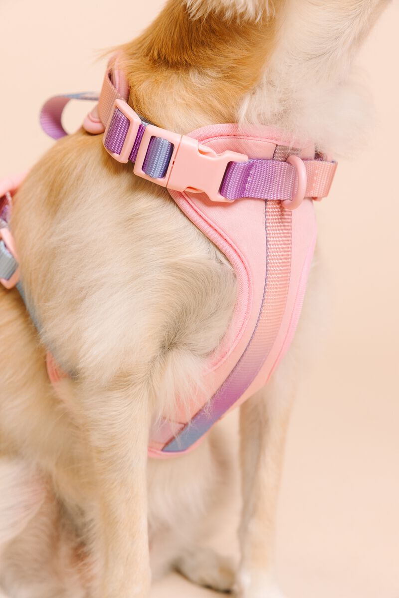 Diem Dog Harness image number 4