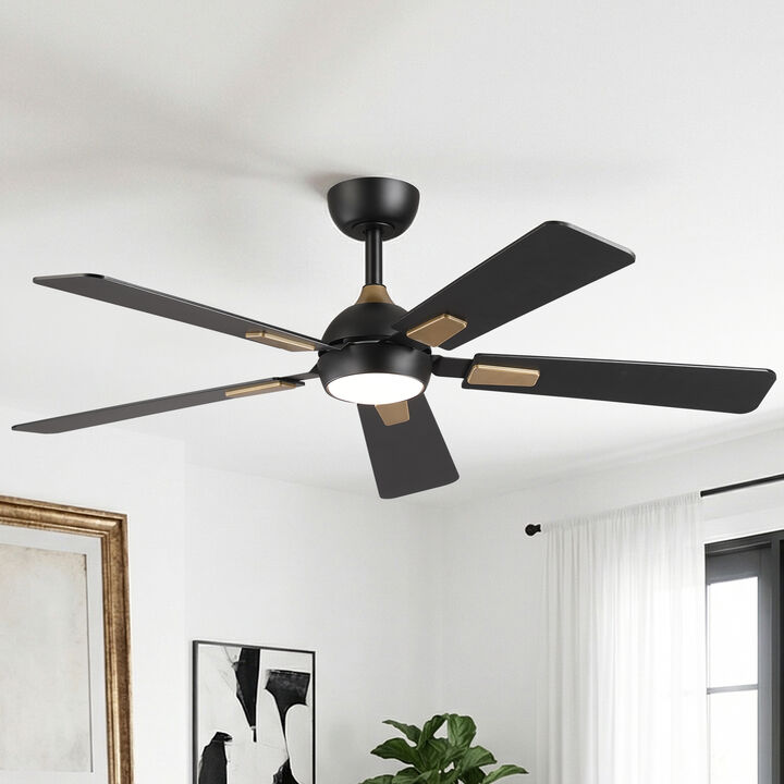 52" Modern Matte Black Dimmable Reversible Smart Ceiling Fan with Light, APP Control and Remote