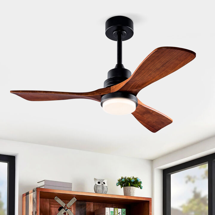 ELEMENT ACE Energy Efficient Outdoor Ceiling Fan with Integrated LED Lighting and Remote Control for Modern Patio Spaces