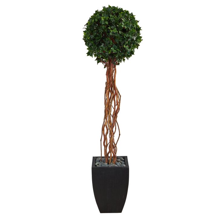 HomPlanti 64 Inches English Ivy Single Ball Artificial Topiary Tree in Black Planter UV Resistant (Indoor/Outdoor)