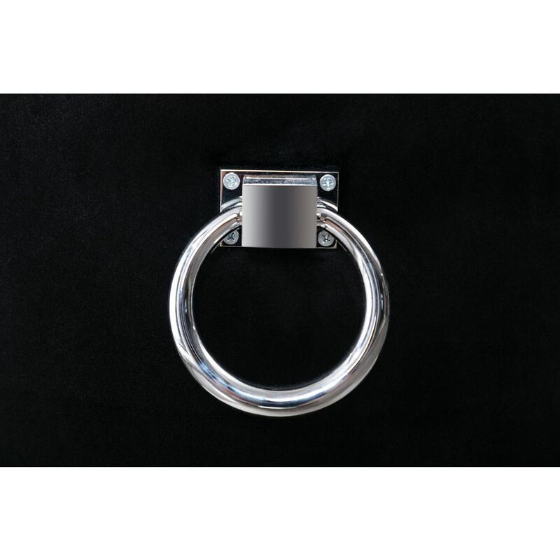 Set of 2 Velvet Upholstered Side Chairs with Silver Sleigh Legs and Back Ring Handle -Black