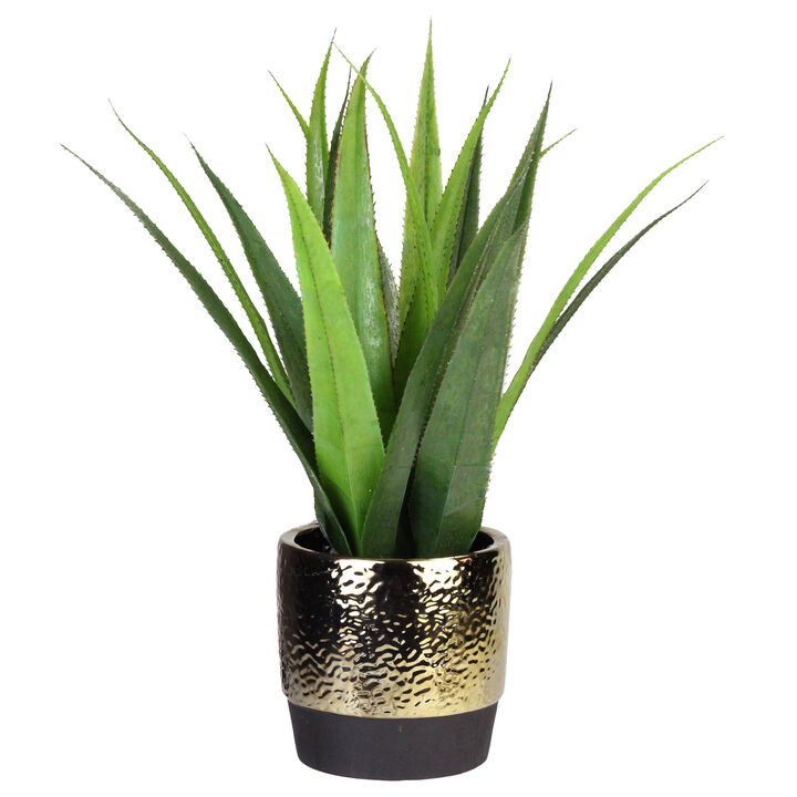 17" Green and Gold Artificial Agave Succulent Plant in a Pot