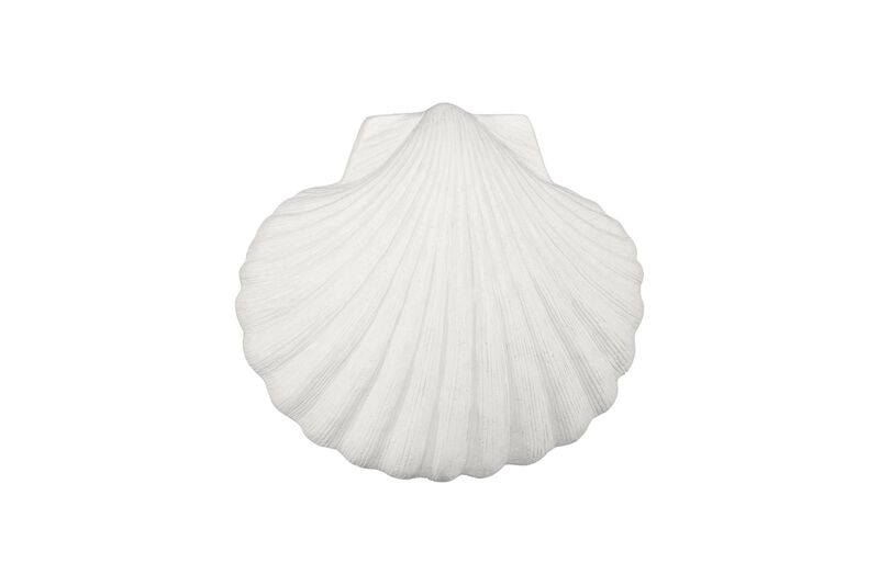 Sea Shell Wall Art image number 0