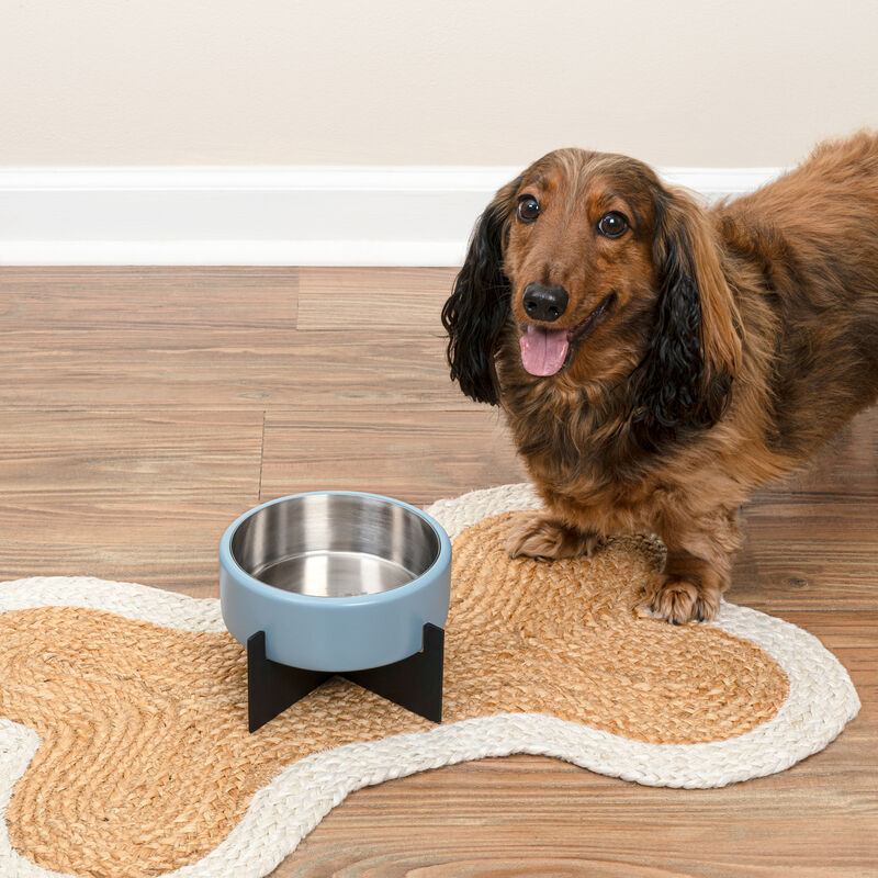 Intersecta Concrete and Stainless Steel Bowl 16oz (2 Cups) with Metal Stand Pet Feeder image number 5
