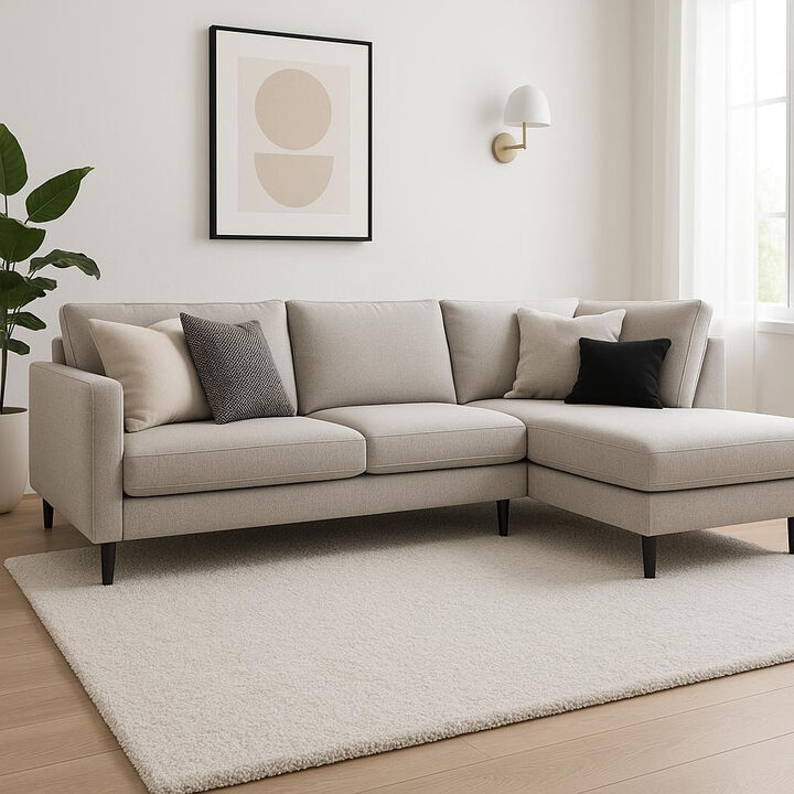 HomeRoots Shag Area Rug