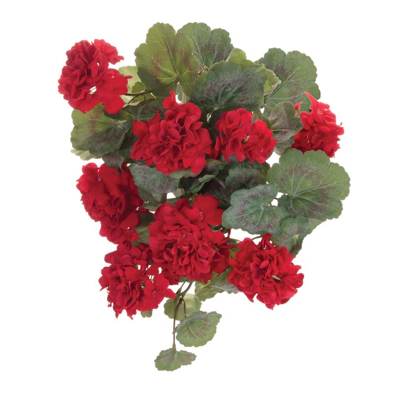 Set of 2 Hanging Geranium Floral Bushes for Porch, Balcony, or Indoor Planters