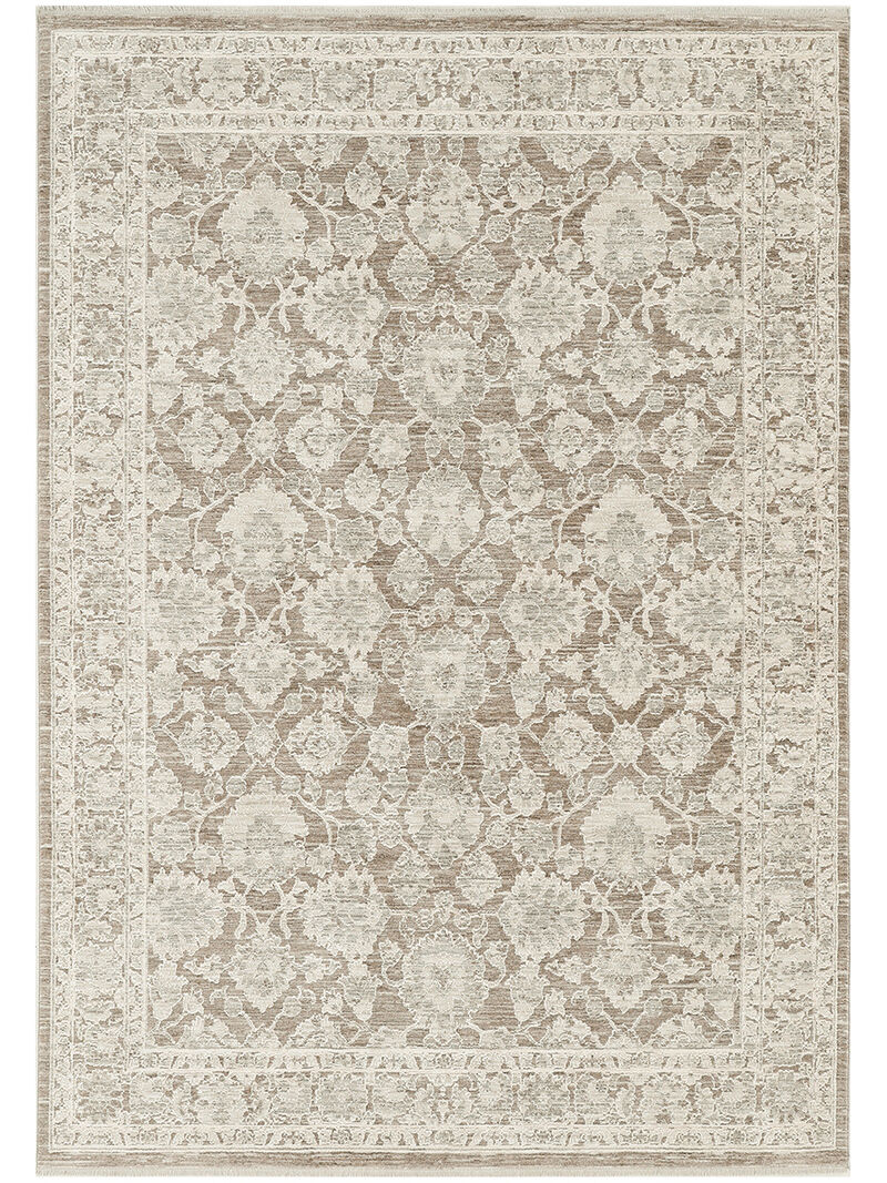 Shadows SHW03 Ivory/Mocha 5'3" x 7'3" Rug
