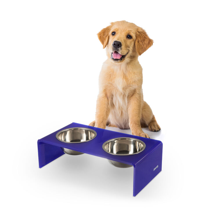 Keaton Modern Acrylic Rectangular Elevated Pet Feeder with Stainless Steel Bowls