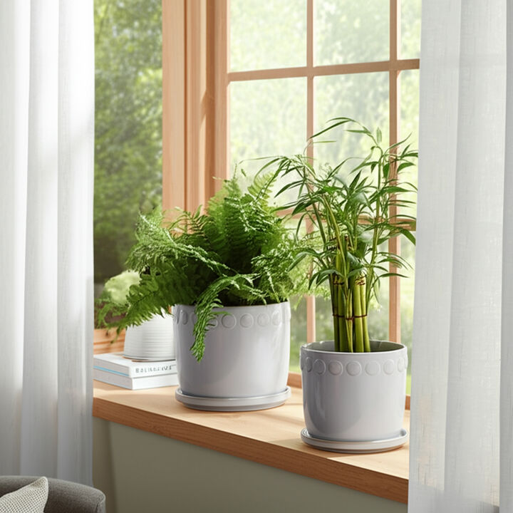 Bubble Trim Planters with Saucer