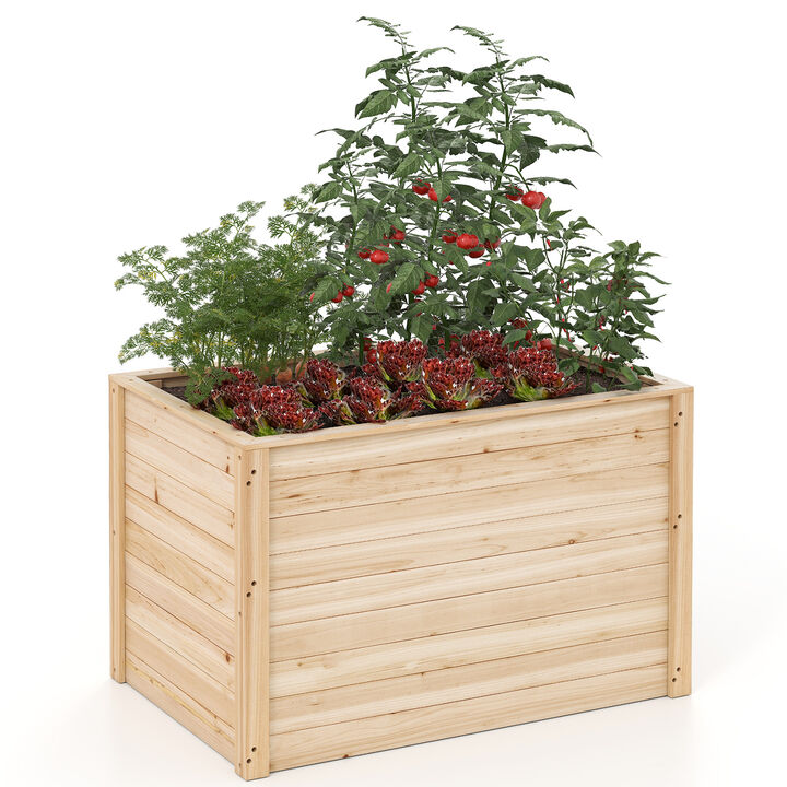 Raised Garden Bed Elevated Planter Box with Open-Ended Base