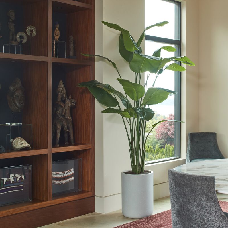 8' Bird of Paradise Tree in Modern Gray Planter image number 3