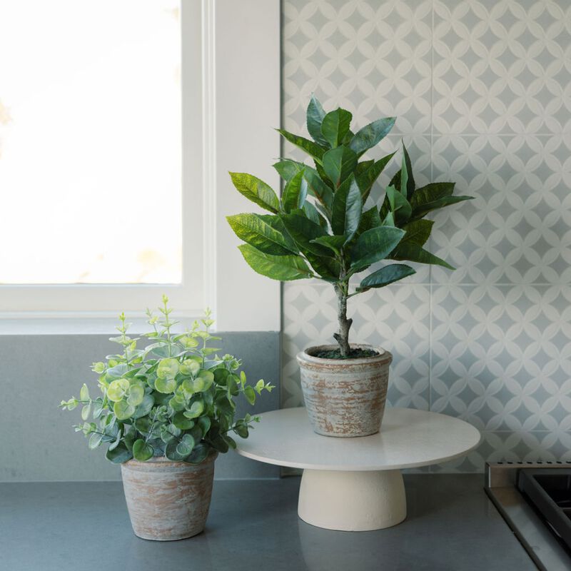 10" Eucalyptus & 16" Citrus Topiary Set image number 1