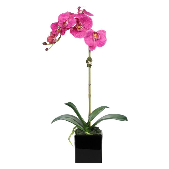 Faux Orchid Plant in Square Vase - 20"