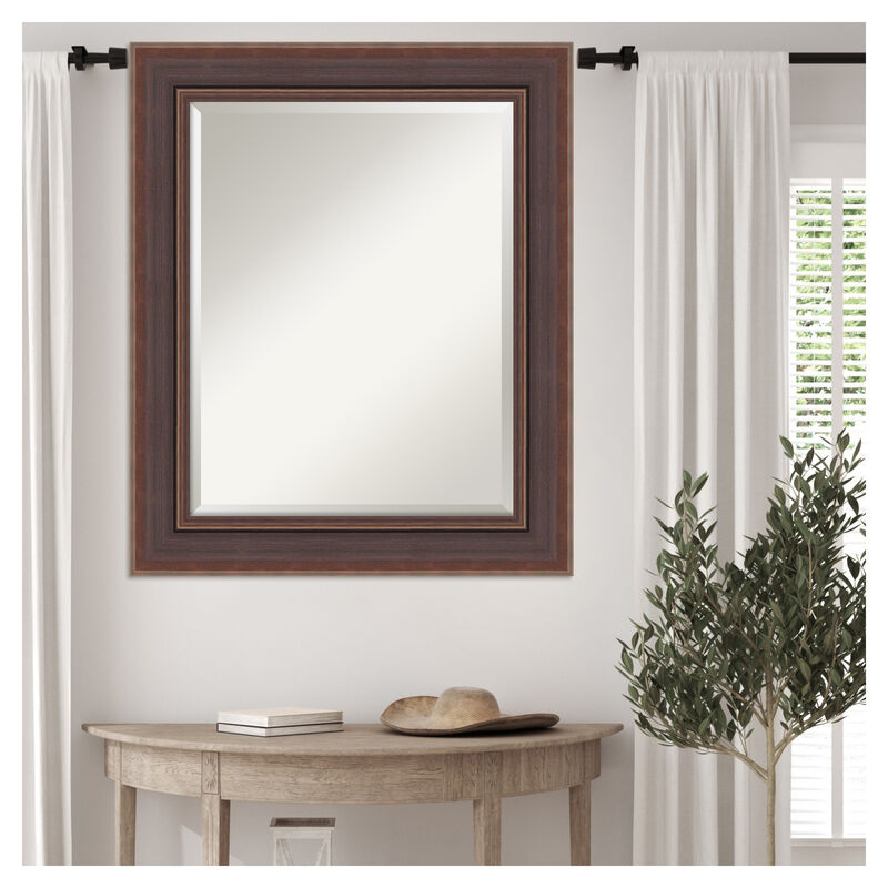 Moab Brown Bronze Beveled Framed Wall Mirror image number 1