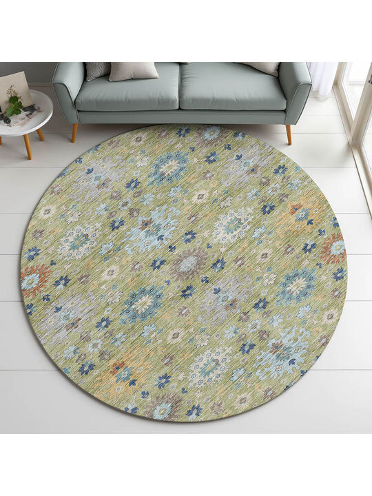 Silk Road Aloe 8' Round Rug