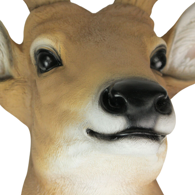 12 Point Buck Deer Head Bust Wall Hanging image number 3