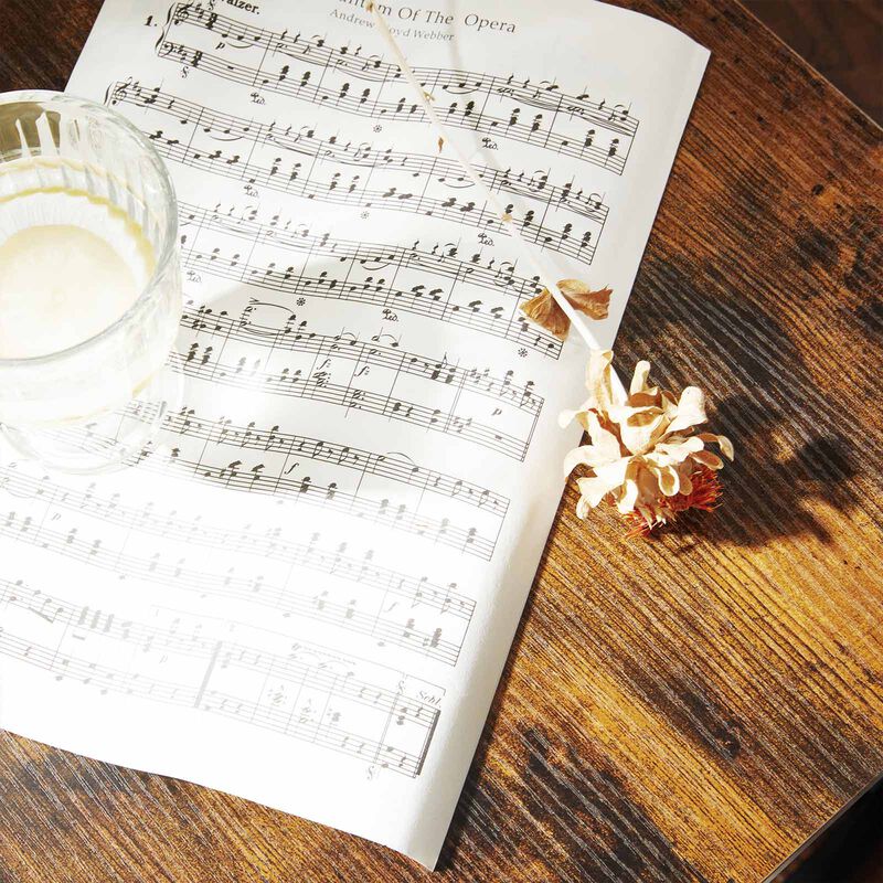 End Table with Storage Shelf - Stylish Side Table for Organized Living Spaces