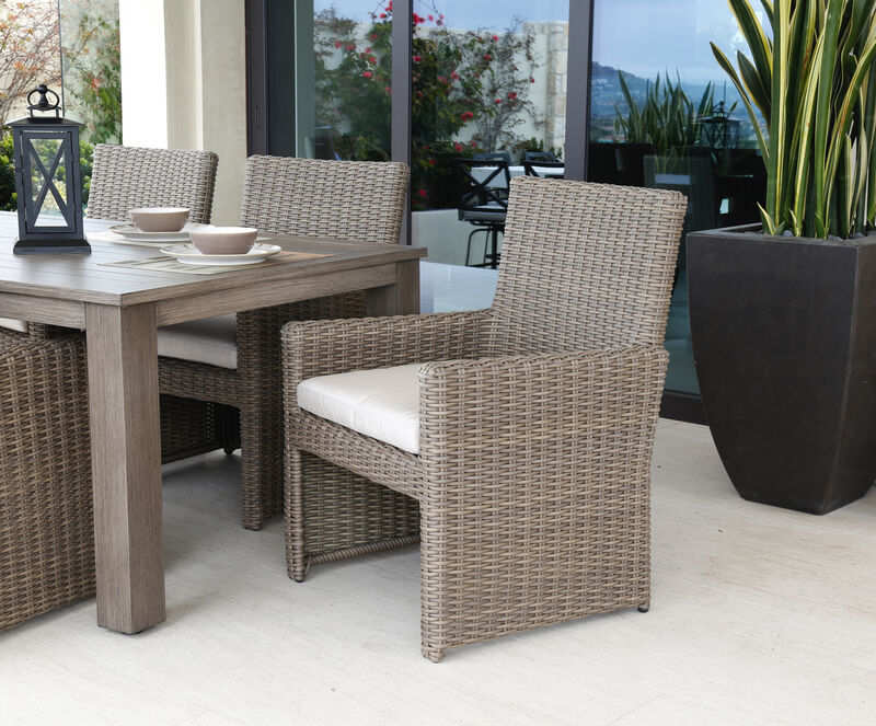 Coronado Dining Chair in Canvas Flax w/ Self Welt
