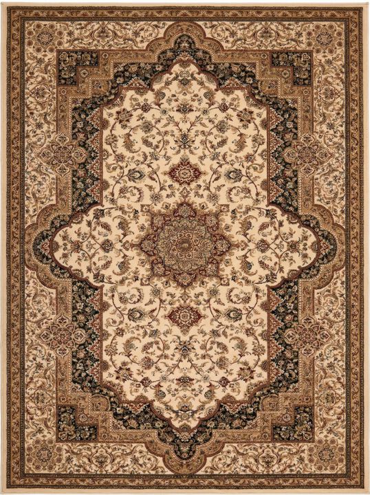 HomeRoots Oriental Power Loom Area Rug