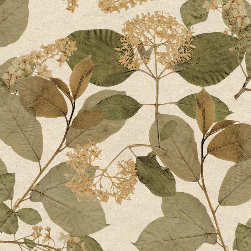 Castanum Bloom Wallpaper image number 0
