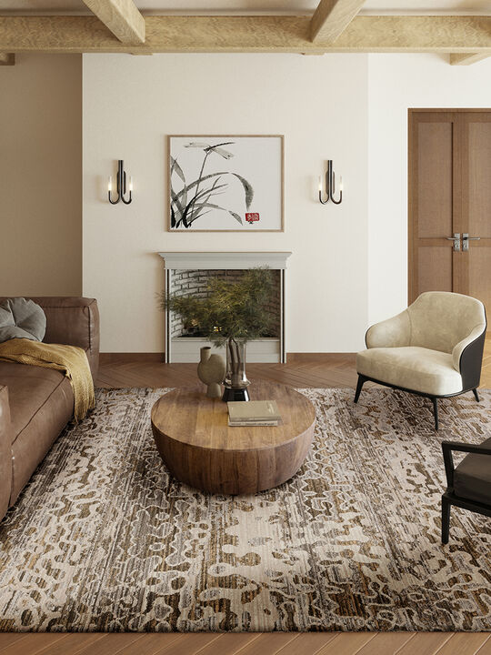 Denizi DZ6 Mocha 3'3" x 5'3" Rug