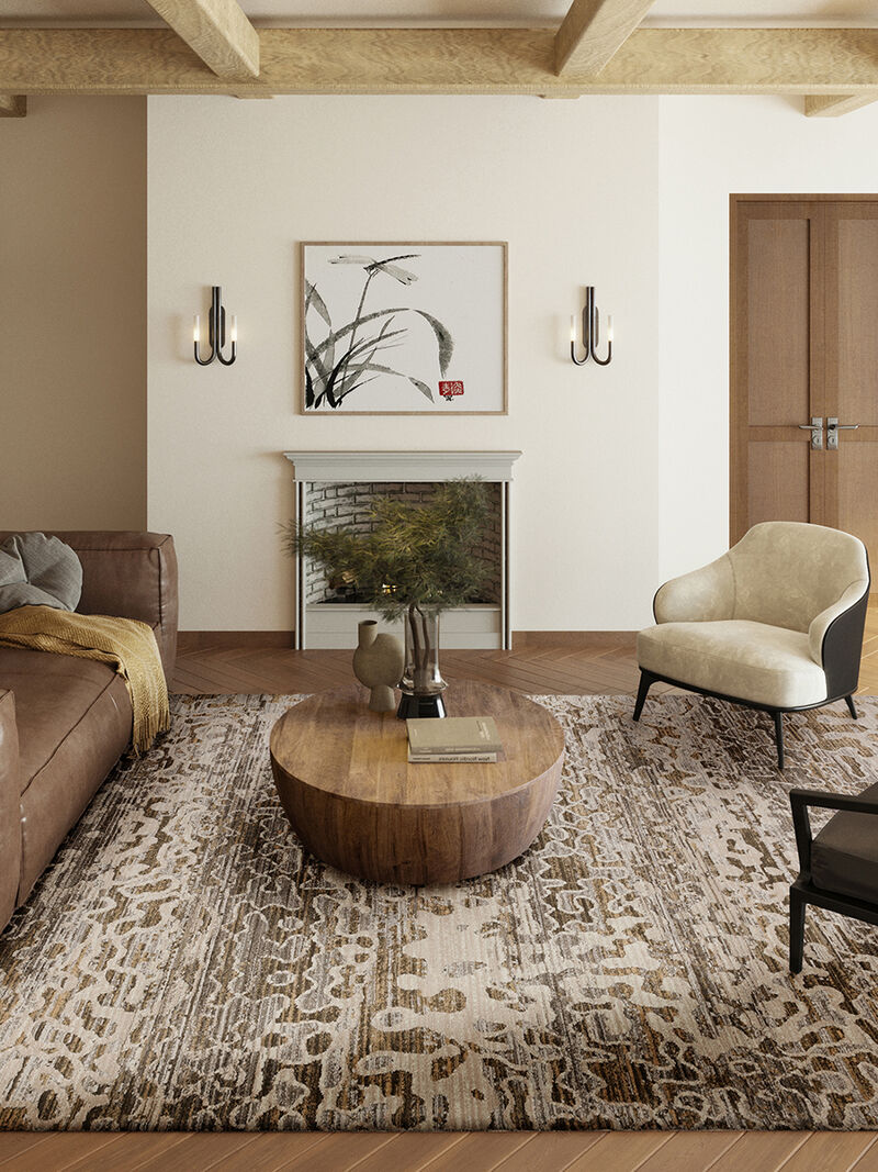 Denizi DZ6 Mocha 3'3" x 5'3" Rug