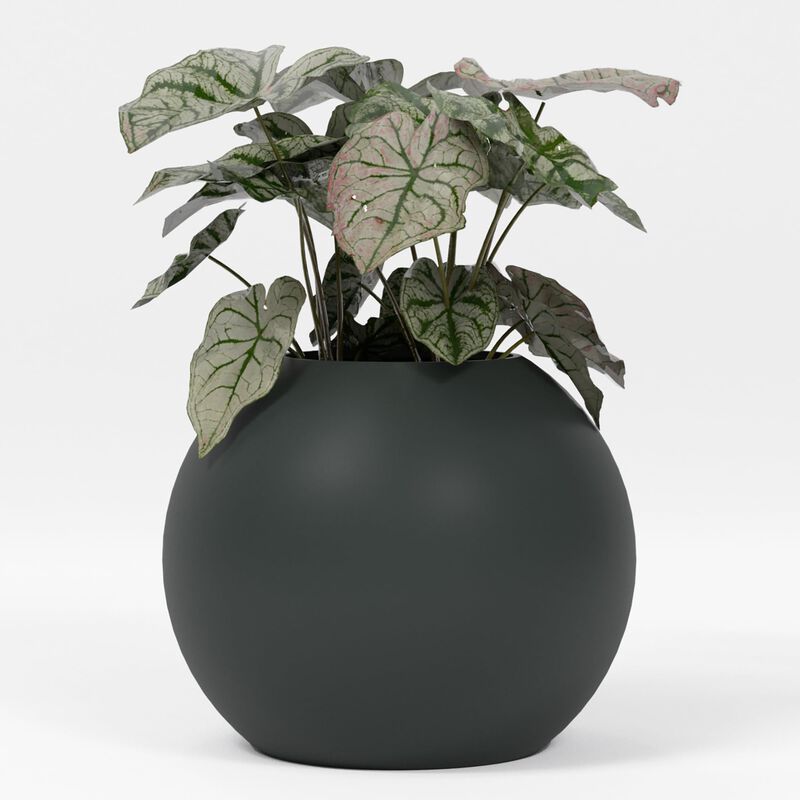 Greenline Fiberglass Nala Globe Planter - Indoor/Outdoor Large Fiberglass Lightweight Planter.