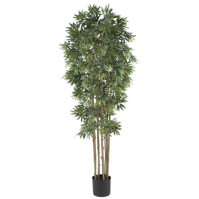Nearly Natural 6-ft Bamboo Japanica Tree w/3200 Lvs Natural