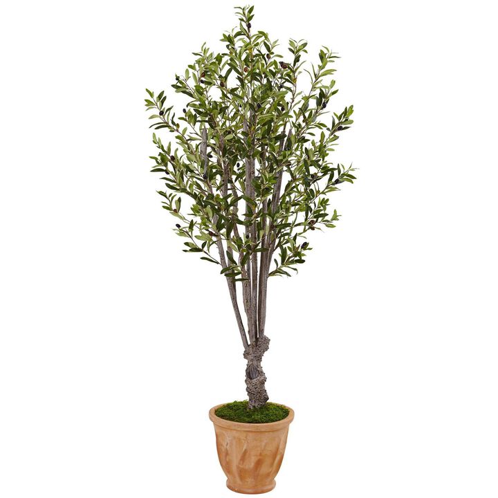 Nearly Natural 5-ft Olive Tree in Terracotta Planter