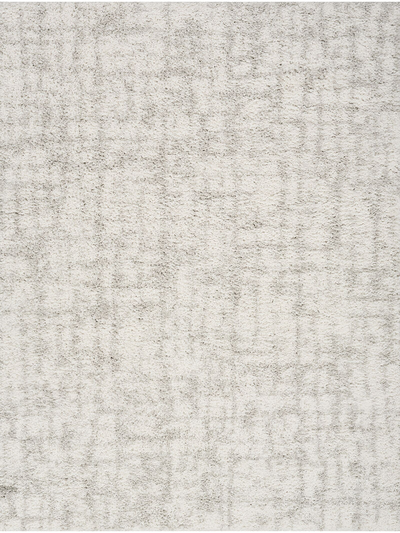 Modern Shag MMD06 Ivory/Gray 3'11" x 5'11" Rug