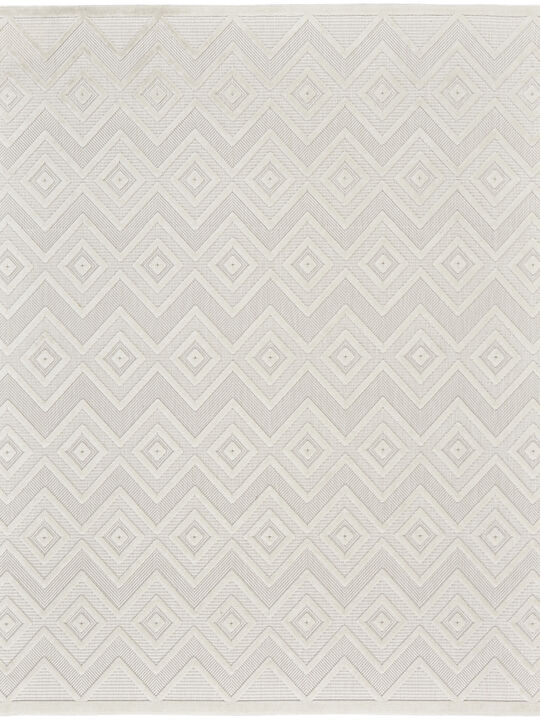 Versatile NRV01 Ivory/White 9' x 12' Rug