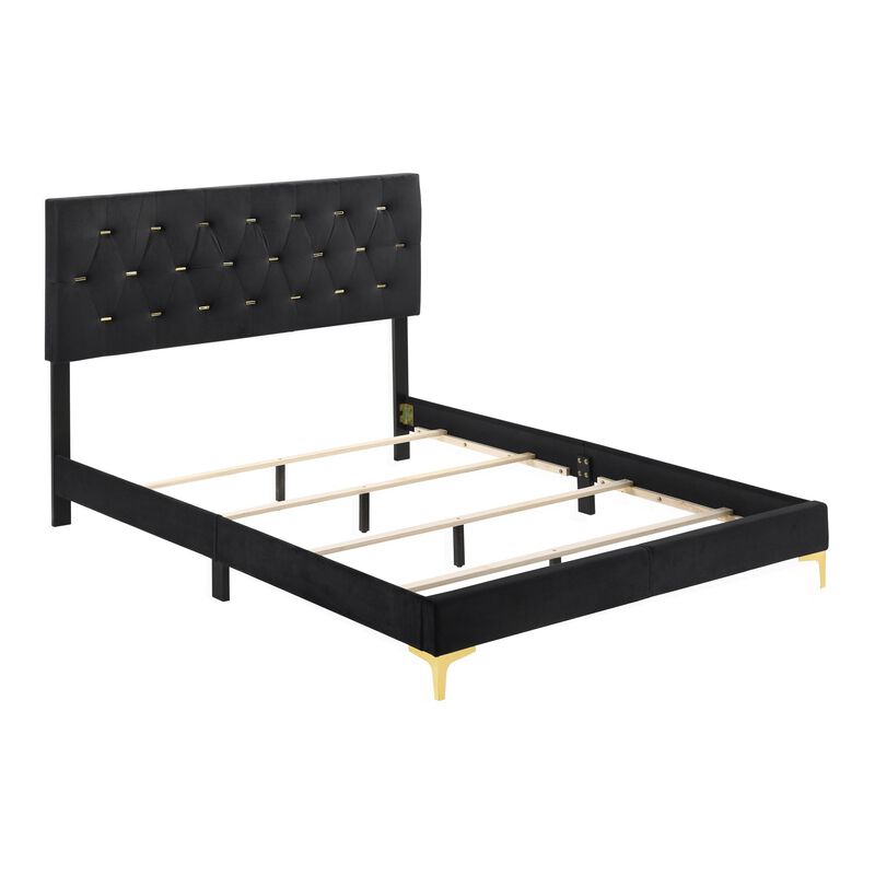 Lif Platform California King Size Bed, Tufted Headboard, Gold, Black Velvet-Benzara