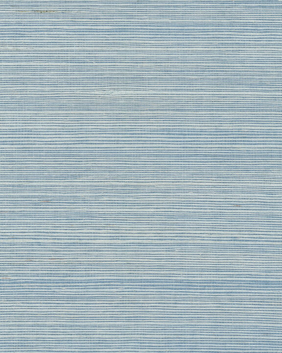 Maguey Sisal Sky Wallpaper