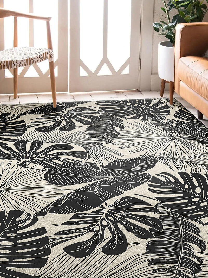 Tropics TC16 Collection