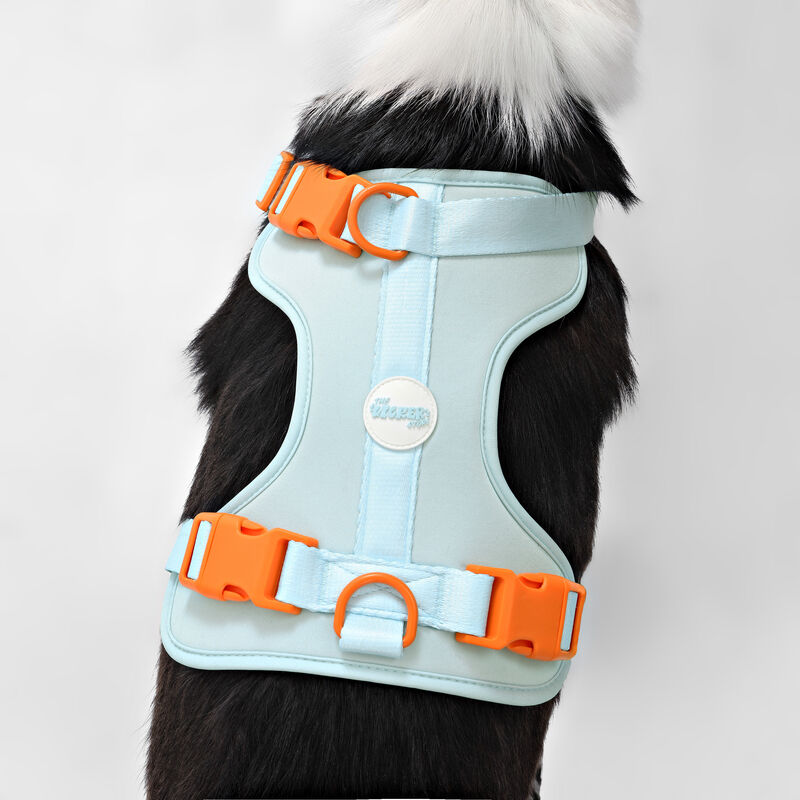 Arlo Adjustable Soft Padded No Pull Pet Harness with 3 Buckles and 3 Leash Clips
