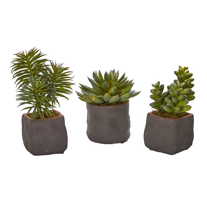 HomPlanti Mixed Succulent Trio Artificial Plant (Set of 3)