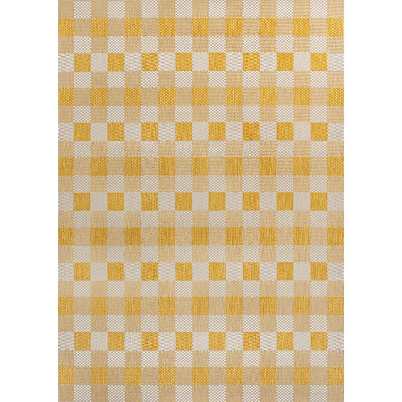 Darcy Traditional Geometric Bold Gingham Indoor/Outdoor Area Rug