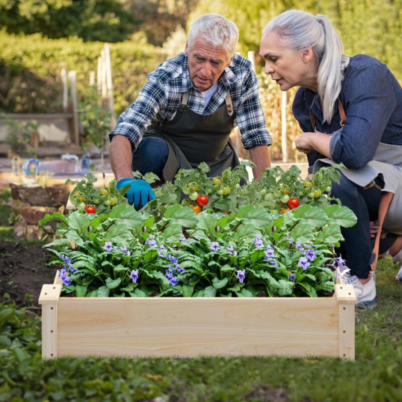 Hivvago Raised Garden Bed Fir Wood Wooden Square Wood Planter Box for Garden