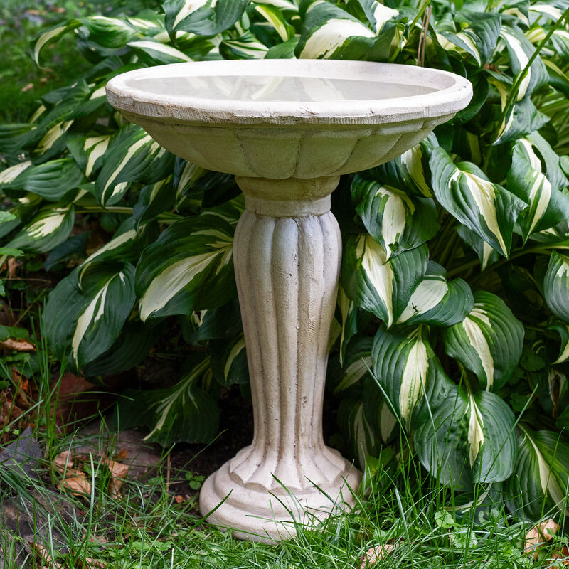 Sunnydaze Grecian Glass Fiber Reinforced Concrete Bird Bath - 16 in - Cream