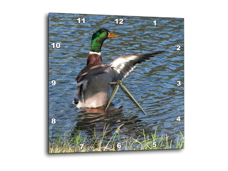 Drake Male Mallard Duck Wall Clock 15 Inch Home Decor image number 0
