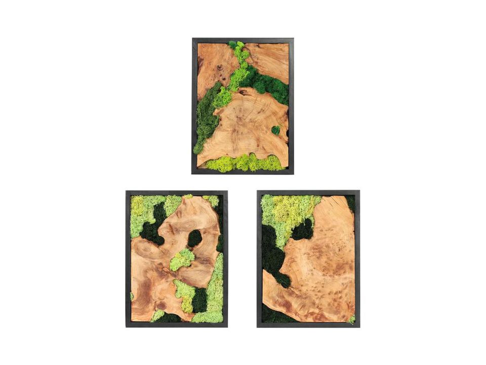 Natural Preserved Moss Wall Art Rustic Wood Handcrafted Decor for Living Room Set