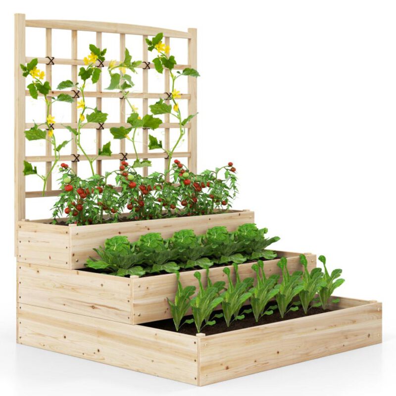 Hivvago 3-Tier Raised Garden Bed with Lattice Trellis and Open-Ended Base