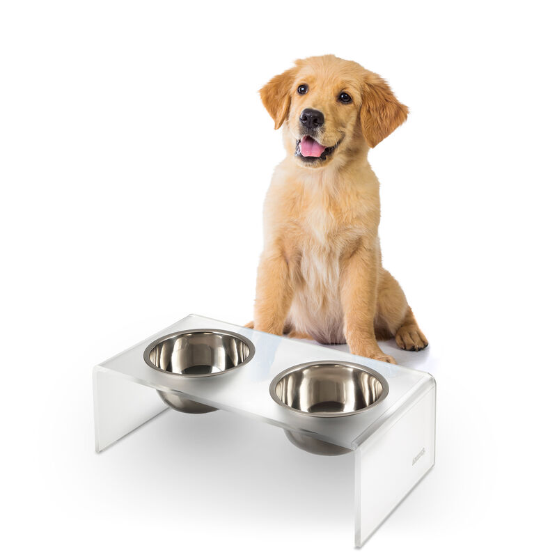 Keaton Modern Acrylic Rectangular Elevated Pet Feeder with Stainless Steel Bowls