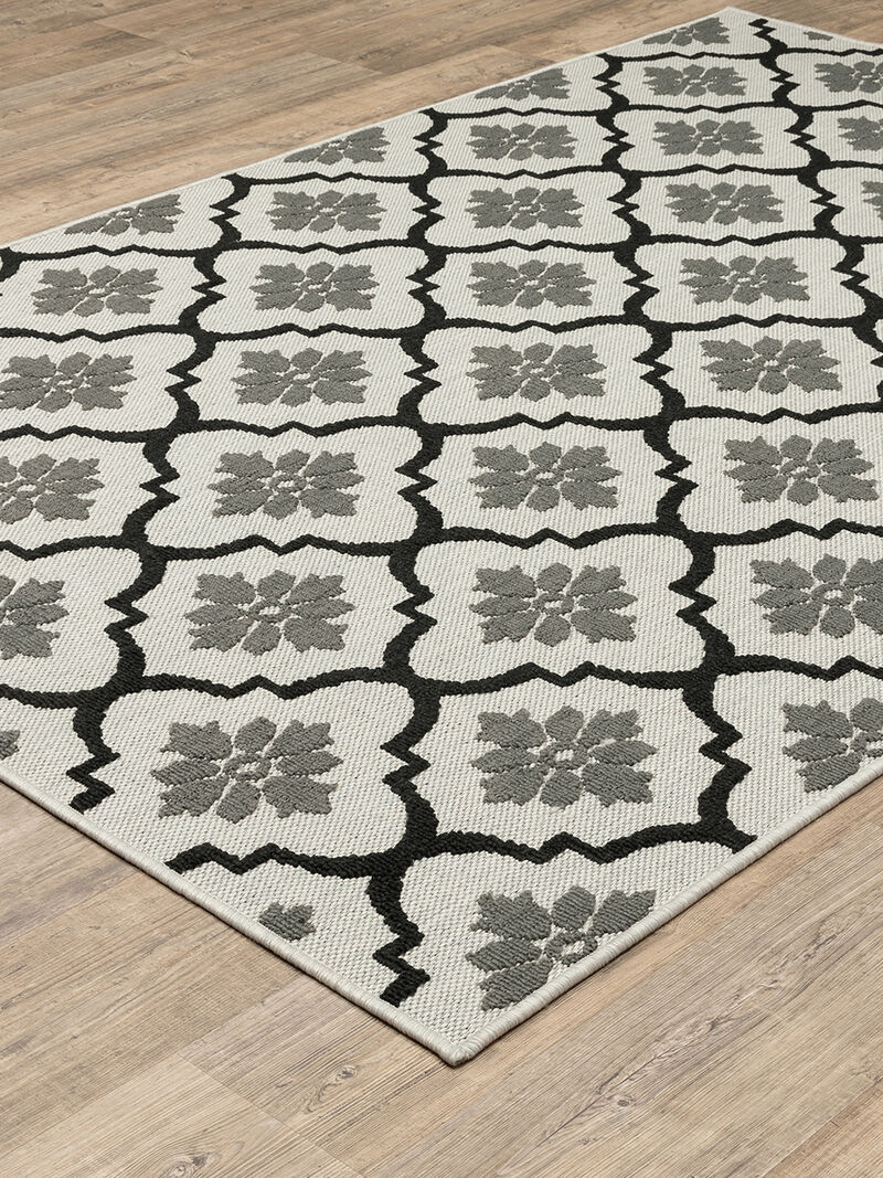 Torrey 5562E Collection image number 1
