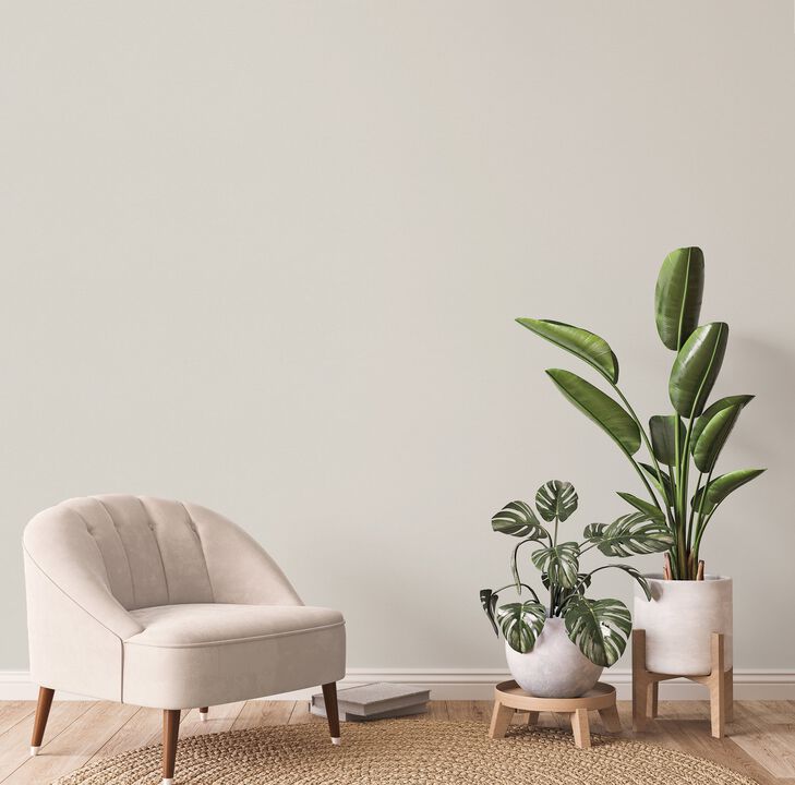 Style Sisters Plain Texture Beige Wallpaper SS21241