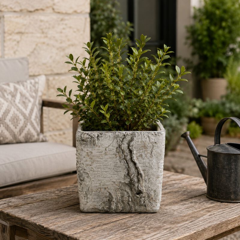 Outdoor Decorative Planter, Faux Bois Textured Terracotta, 7 Inch Gray image number 8