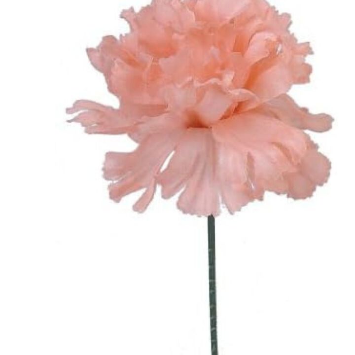 Peach Silk Carnation Picks, Artificial Flowers for Weddings, Decorations, DIY Decor, 100 Count Bulk, 3.5" Carnation Heads with 5" Stems