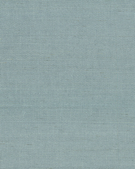 Maguey Sisal Dragonfly Wallpaper