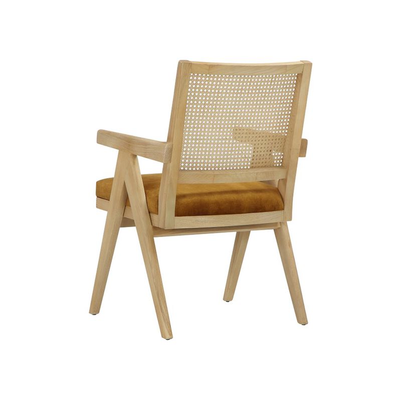 Pangea Home Lev Armchairs Velvet Gold