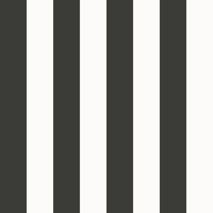 Style Sisters Medium Stripe Black Wallpaper SS21233
